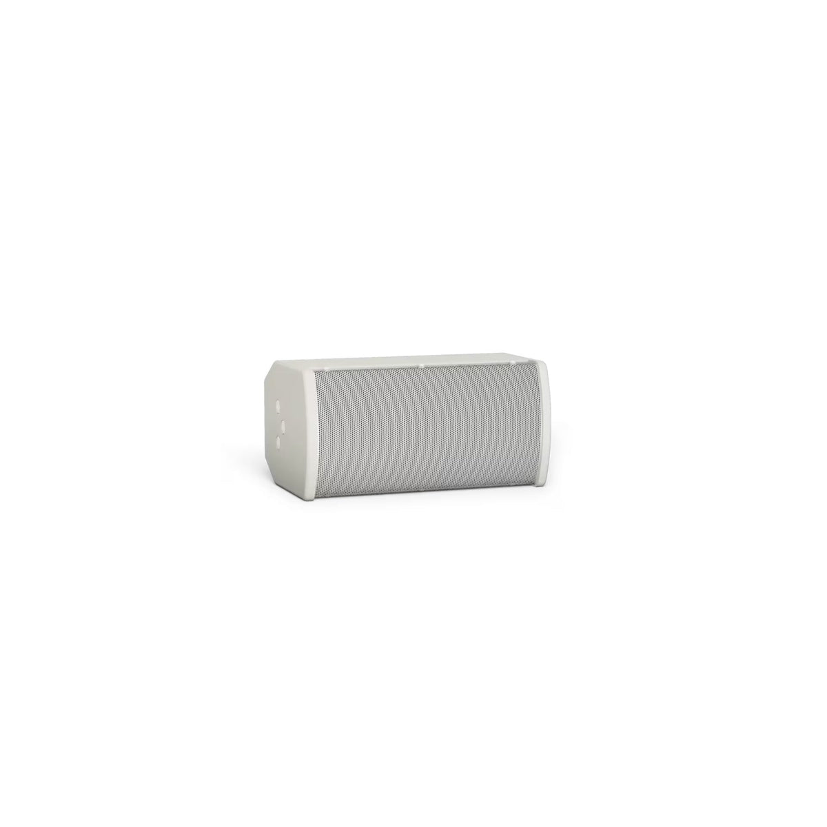 Bose ArenaMatch Utility AMU105 Outdoor Speaker | Color: White