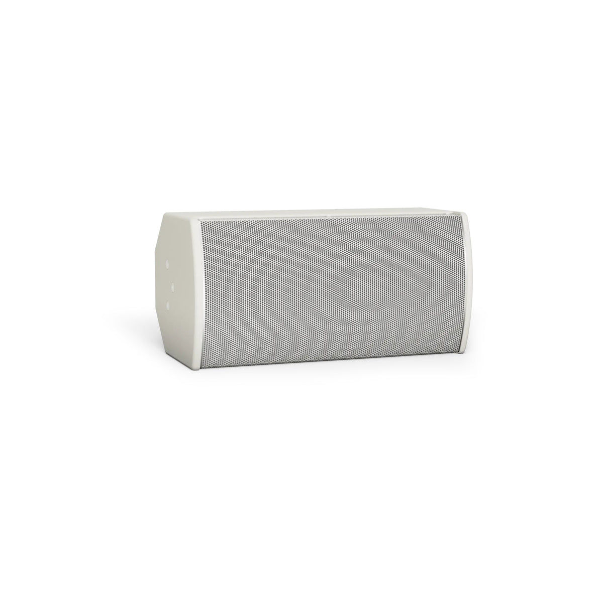 Bose ArenaMatch Utility AMU108 Outdoor Speaker | Color: White