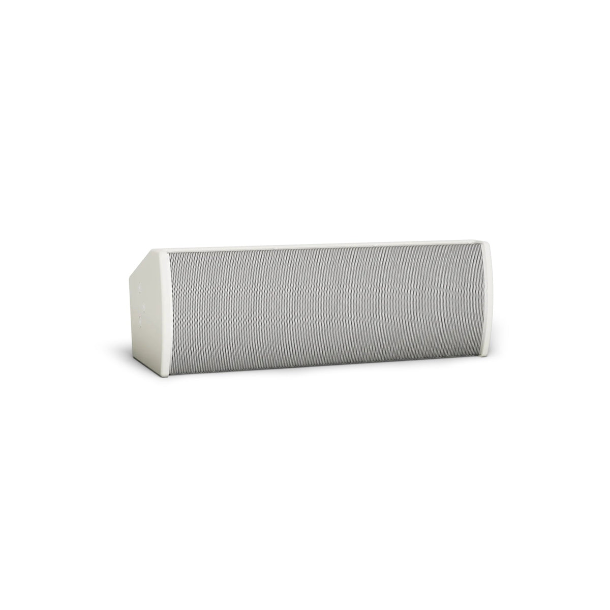 Bose ArenaMatch Utility AMU206 Outdoor Speaker | Color: White