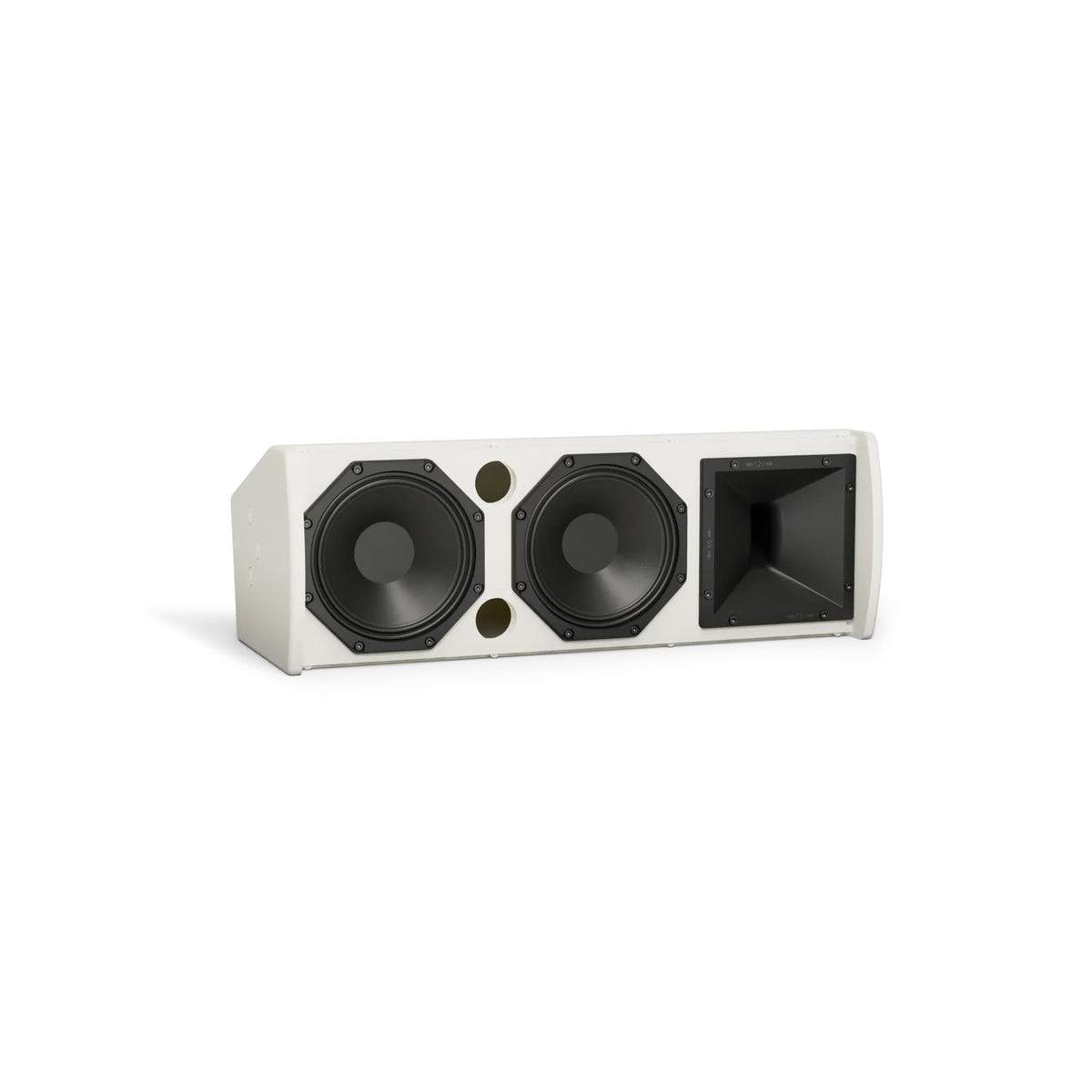 Bose ArenaMatch Utility AMU206 Outdoor Speaker | Color: White