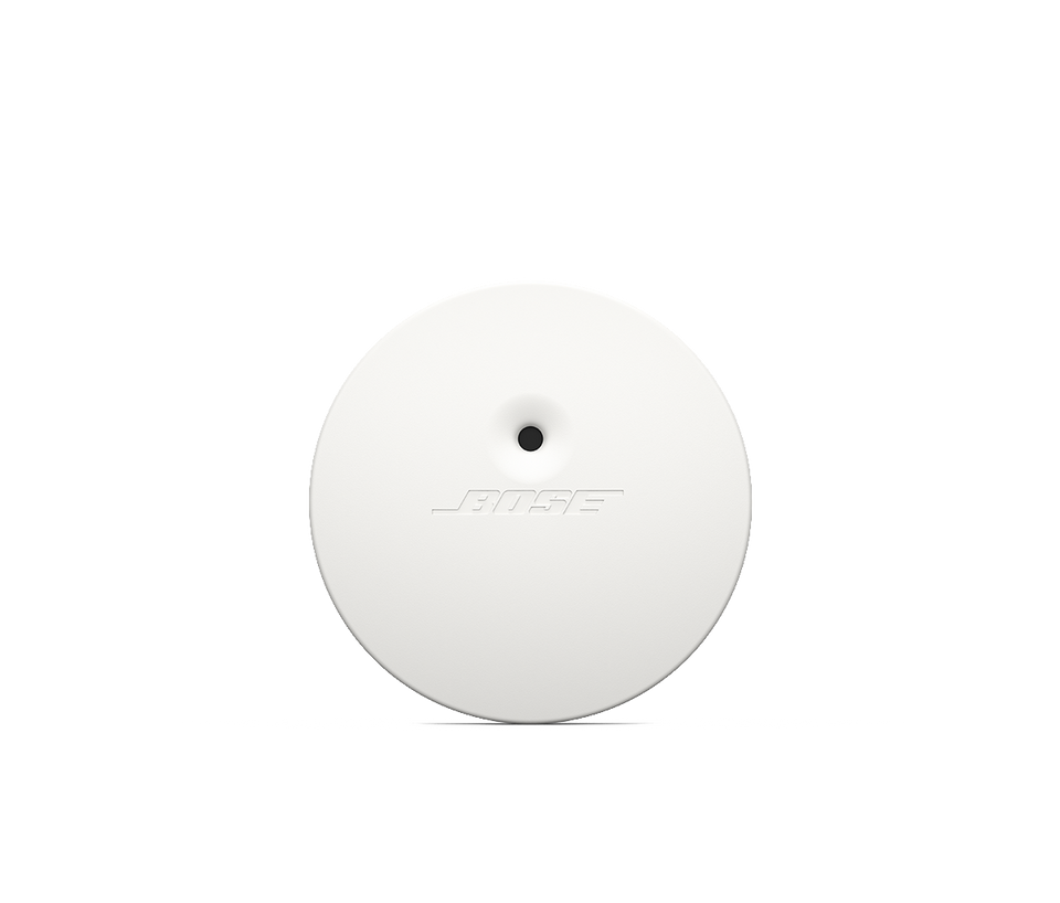 Bose AVM-1