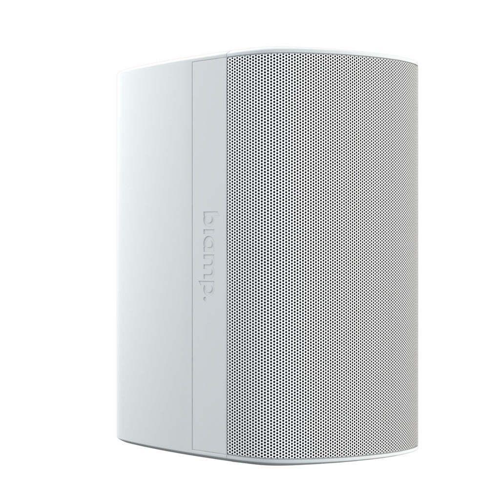 Biamp DX-S8-W