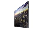 Samsung QM49F 49" Edge-Lit 4K UHD LED Display