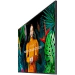 Samsung QM50C 50" Dynamic Crystal Color Display UHD Digital Signage for Business