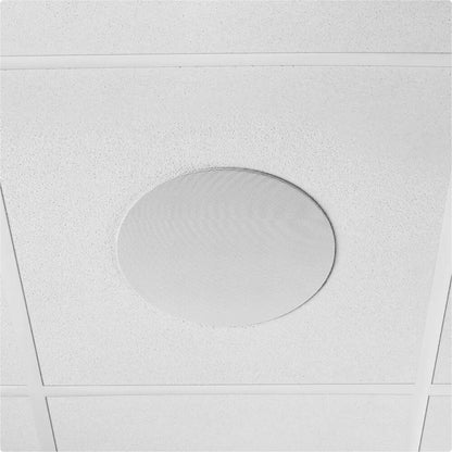 Shure MXN5W-C Loudspeaker