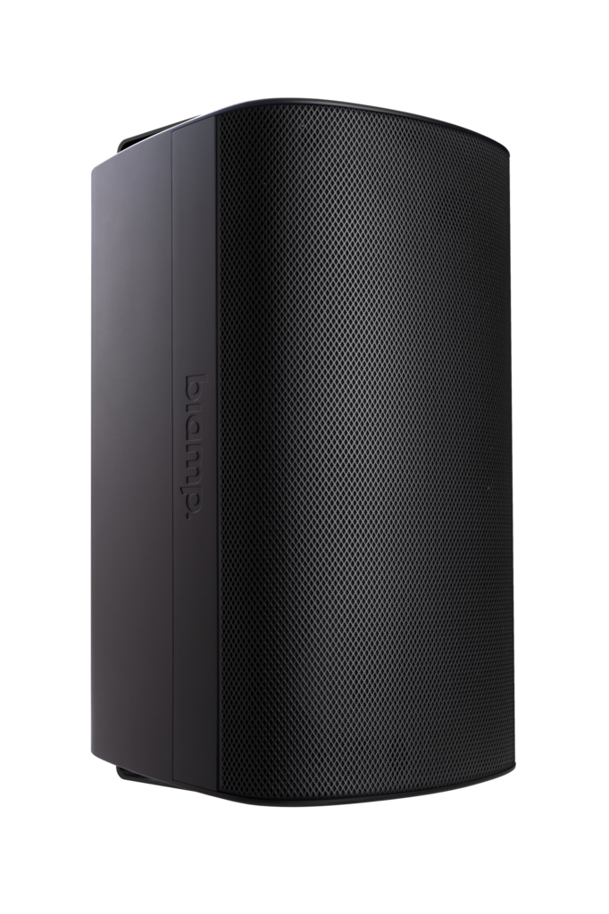 Biamp Desono EX-S10SUB-UB-B 10-Inch Surface-Mount Subwoofer | Black