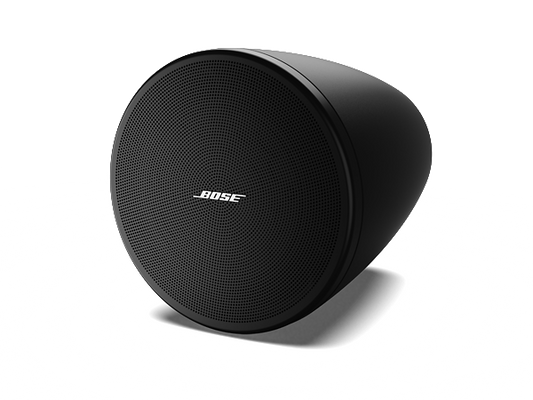 Bose DESIGNMAX DM3P (30w Pendant Speakers)