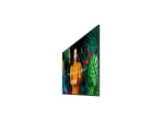 Samsung QM55C 55" Dynamic Crystal Color Display UHD Digital Signage for Business
