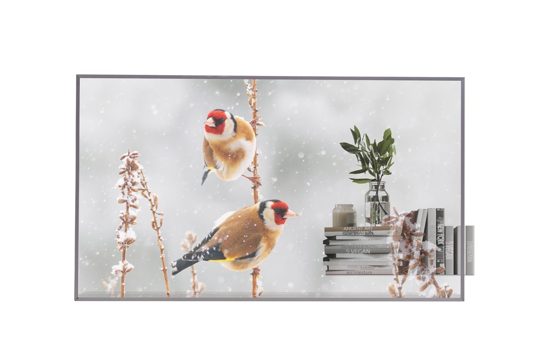 LG 55EW5P-M 55-inch display; manufacturer product image